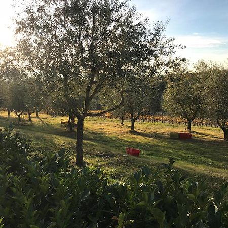 Il Villino Farmhouse Castellina in Chianti Exterior foto