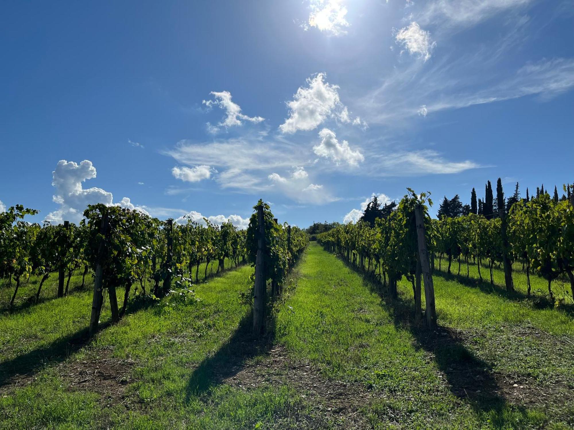 Il Villino Farmhouse Castellina in Chianti Exterior foto