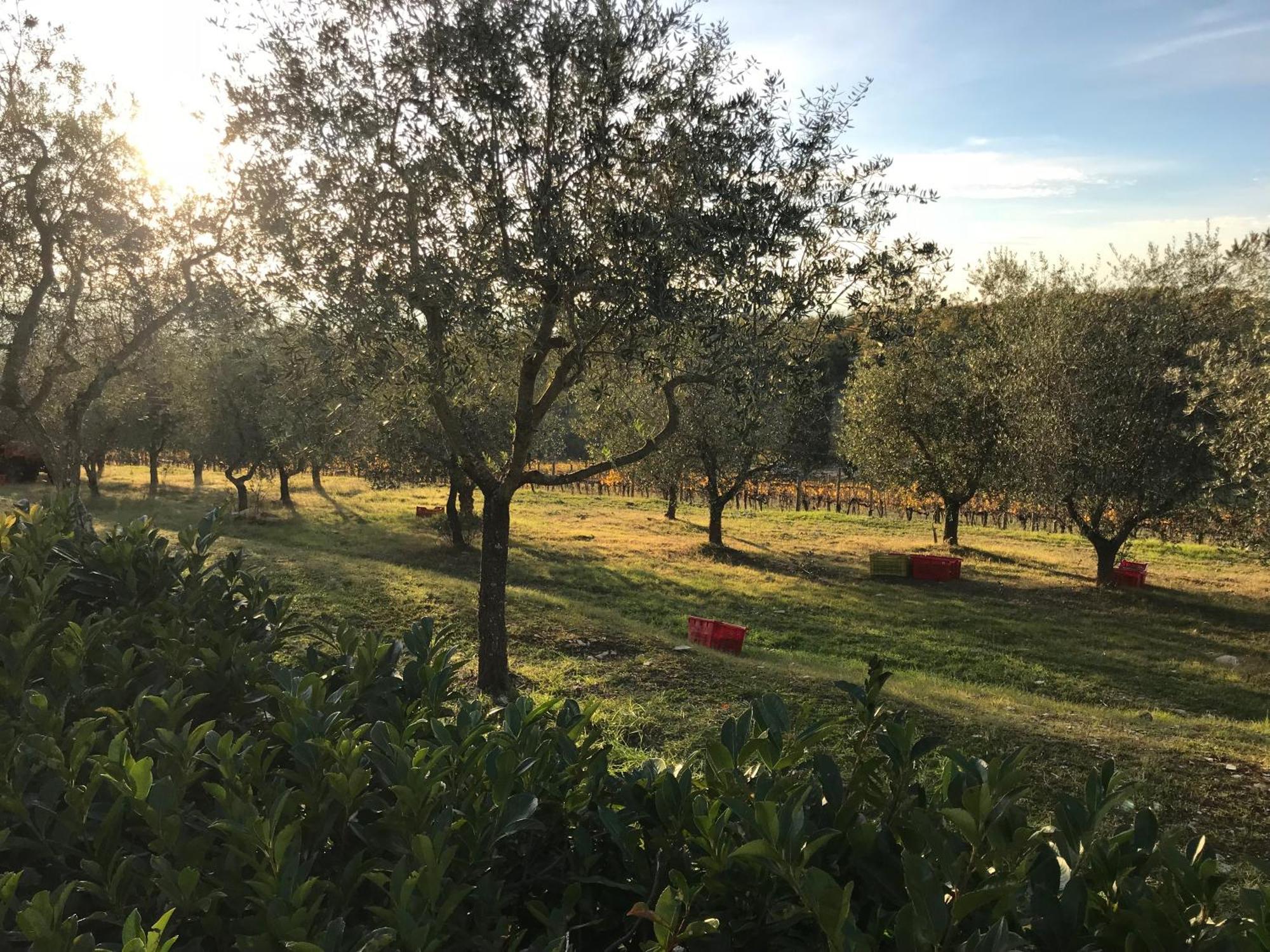 Il Villino Farmhouse Castellina in Chianti Exterior foto